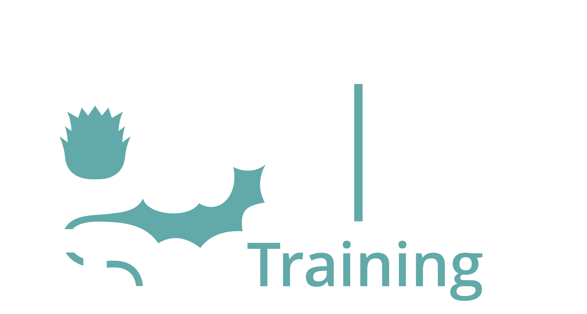 Scottish Women's Aid – Training